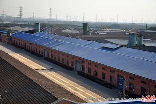 走進(jìn)林牌地板 探訪工廠風(fēng)貌與全實(shí)景產(chǎn)品展示，領(lǐng)略特殊鋼工藝的卓越品質(zhì)